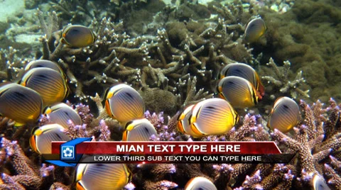 3D Max Lower Third Stock After Effects