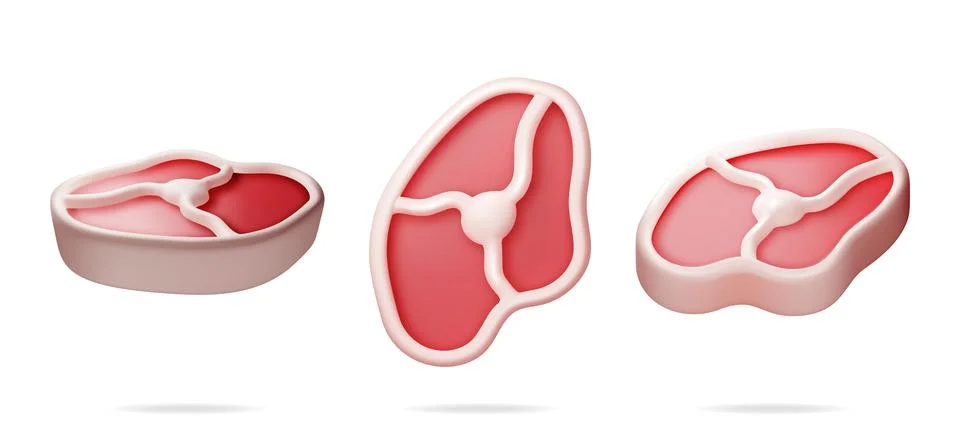 3D Meat Steak from Different Angles Collection Stock Illustration