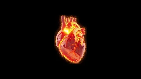 3D medical animation of glowing human heart Vídeo Stock 342302001