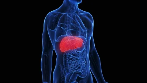 Inflammation Stock Footage ~ Royalty Free Stock Videos | Pond5 Inflammation Stock Footage ~ Royalty Free Stock Videos | Pond5