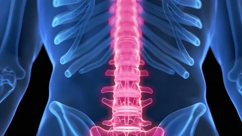 Column 3D Stock Video Footage | Royalty Free Column 3D Videos | Pond5