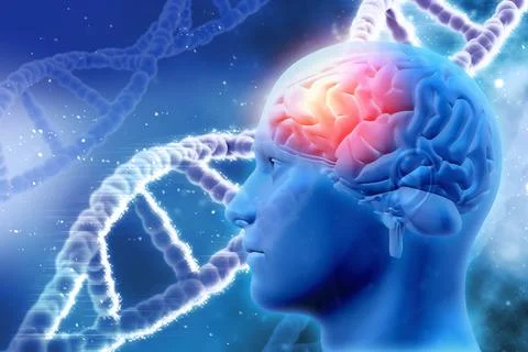 3D medical background with brain and DNA strands Stock Illustration