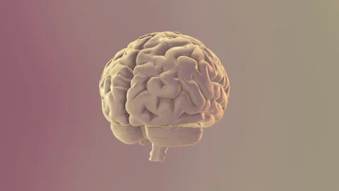3d medical background with brain Stock Footage 171151399
