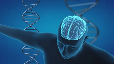 3d medical background with human brain and dna Stock Footage 180631755