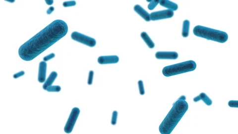 3D medical render of Bacteria cell Stock Footage 138144806