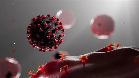 3D Medical Visualization – COVID-19 Virus Attaching to Human Cell Stock Footage 248123240