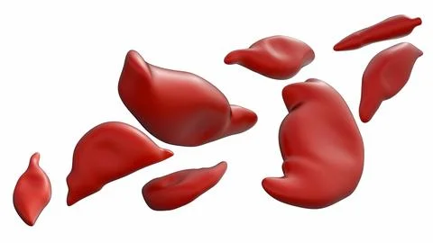 3D Medical Visualization of Schistocytes Stock Illustration