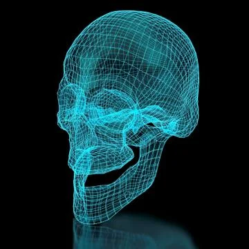 3d mesh skull 스톡 사진