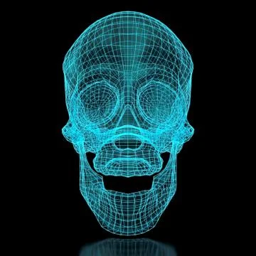 3d mesh skull Stock Photos