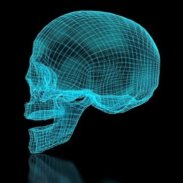 3d mesh skull Stock Photos