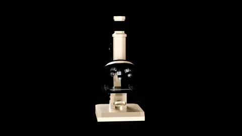 3D Microscope 360 Degree Rotate Video 스톡 동영상 287920200