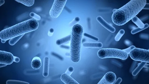 3d microscopic animation of floating bacteria 库存影片 87071463