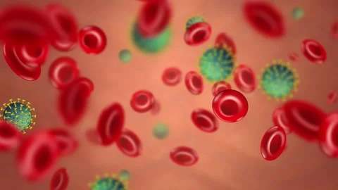 3D Microscopic Loop of Red Blood Cells and Viruses Drifting in Bloodstream Stock Footage 344846060