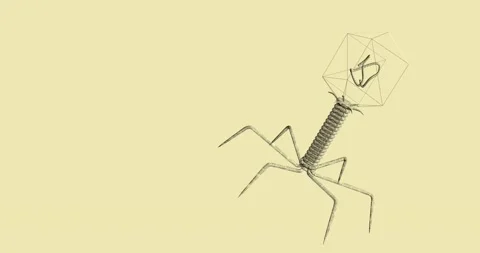 3d model of a bacteriophage virus that rotates in loop Stock Footage 171081291