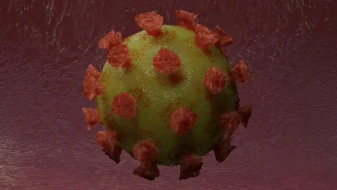 The 3D model of the coronavirus is spinning slowly. looped animation. the concep Stock Footage 152909509