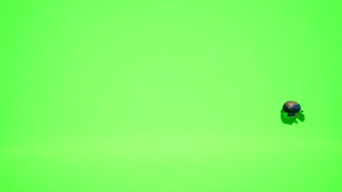 3D Model Dirigible Flying, On a Green Screen, Chroma Key, 4K  (7) Stock Footage 222106592