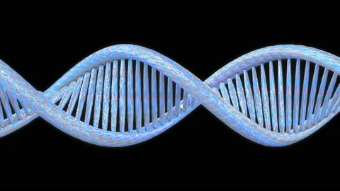 3D model of a DNA double helix with alpha channel Stock Footage 94667542
