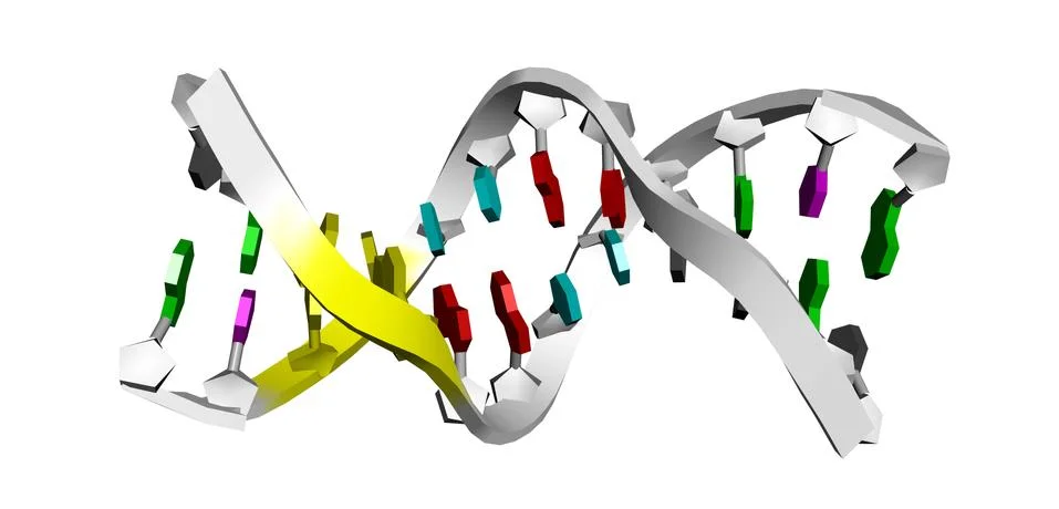 3D model of DNA. Stock Illustration