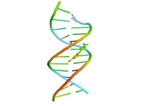 3D model of DNA. Stock Illustration