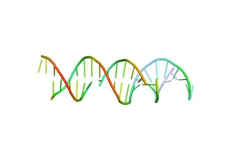 3D model of DNA. Stock Illustration