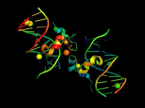 3D model of DNA. Stock Illustration