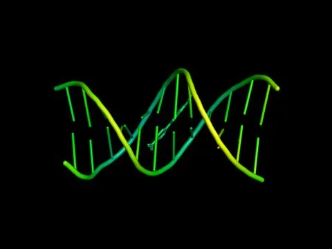 3D model of DNA. Stock Illustration