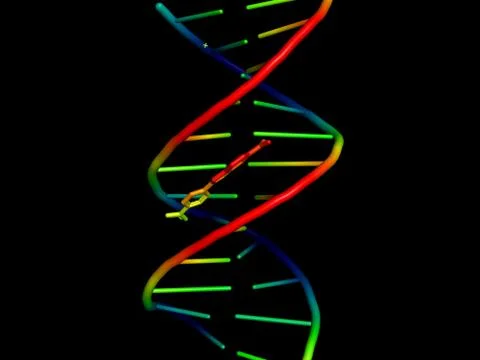 3D model of DNA. Stock Illustration