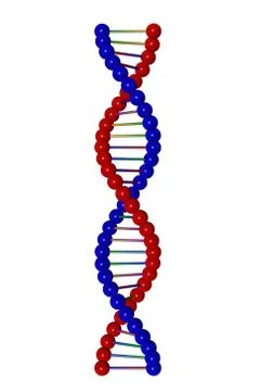 3d model of a dna strand Stock Illustration