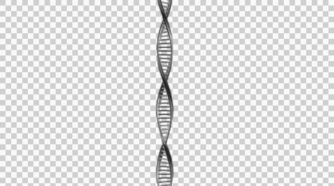 3d model human DNA in FULL HD 1920Х1080 스톡 동영상 55251824