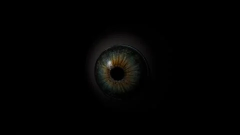 3D model of a human eye on a black background, a large pupil with iris detail Stock Illustration