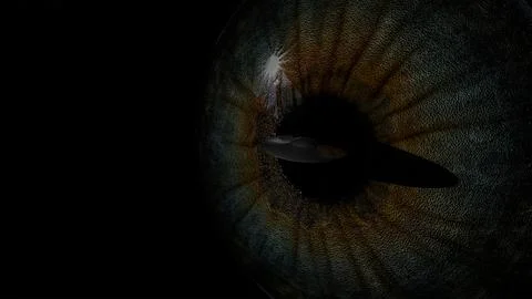 A 3D model of a human eye in the dark, with an unidentified flying object e.. Illustrazione stock