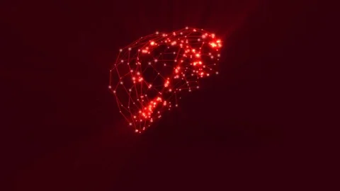 3D model of the human liver. Stock Footage 79758772