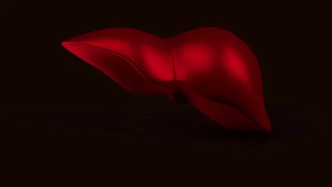 3D model of the human liver. Stock Footage 79817884