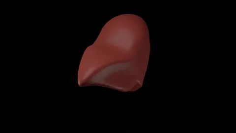 3D model of the human liver rotates on a black background for insertion Stock Footage 265280882