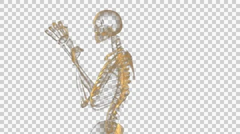 3d model of a human skeleton FULL HD 1920Х1080 Stock Footage 55252070