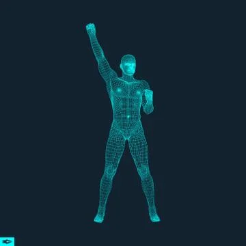 3D Model of Man. Human Body Wire Model. Polygonal Covering Skin. Stock Illustration