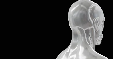 3d model man mannequin rotating in loop. Human body Stock Footage 171080989