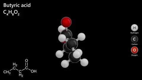 3D model of molecule Butyric acid C4H8O2. Vídeo Stock 284439423