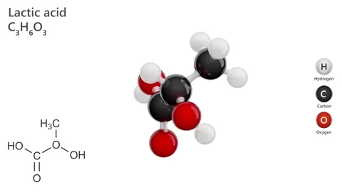 3d model of molecule Lactic acid C3H6O3. Vídeo Stock 284342151
