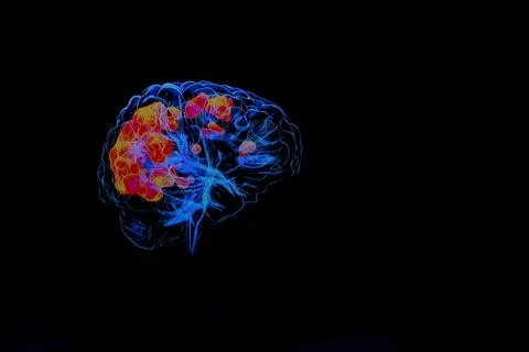3d model of the movement of nerve impulses in the human brain. Stock Photos