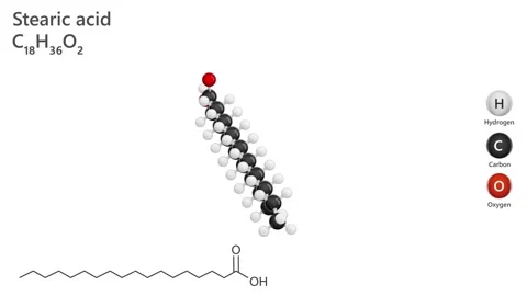 A 3D model of Octadecanoic acid, C18H36O2 Stock Footage 285408373