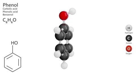 The 3D model of Phenol molecule C6H6 (C6H5OH). Stock Footage 285039654
