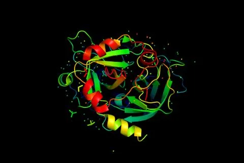 3D model of a protein molecule. Stock Illustration
