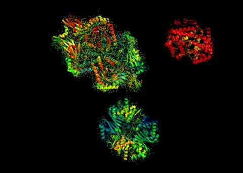 3D model of a protein molecule. Stock Illustration