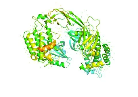 3D model of a protein molecule. Stock Illustration