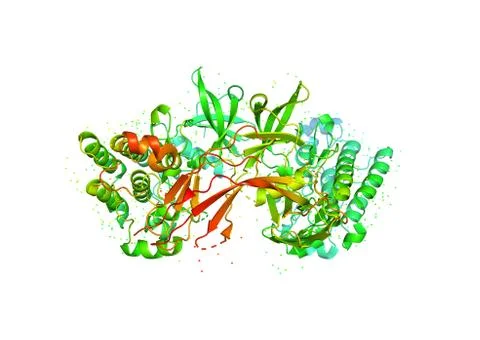 3D model of a protein molecule. Stock Illustration