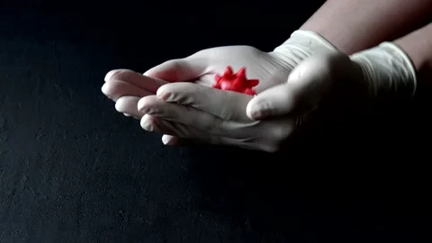 3D model of red coronavirus lies in hands in white medical disposable latex Stock Footage 152565085