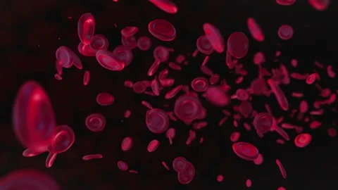 3D model of red erythrocytes Vídeos de archivo 170739578