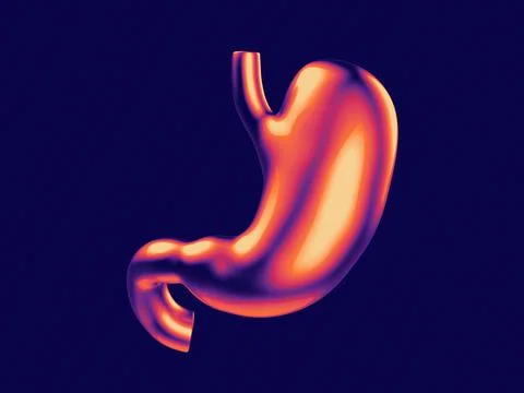 3D model of the stomach, bathed in warm hues Stock Illustration