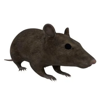 3D model of a stylized brown rodent in a neutral pose Stock Illustration